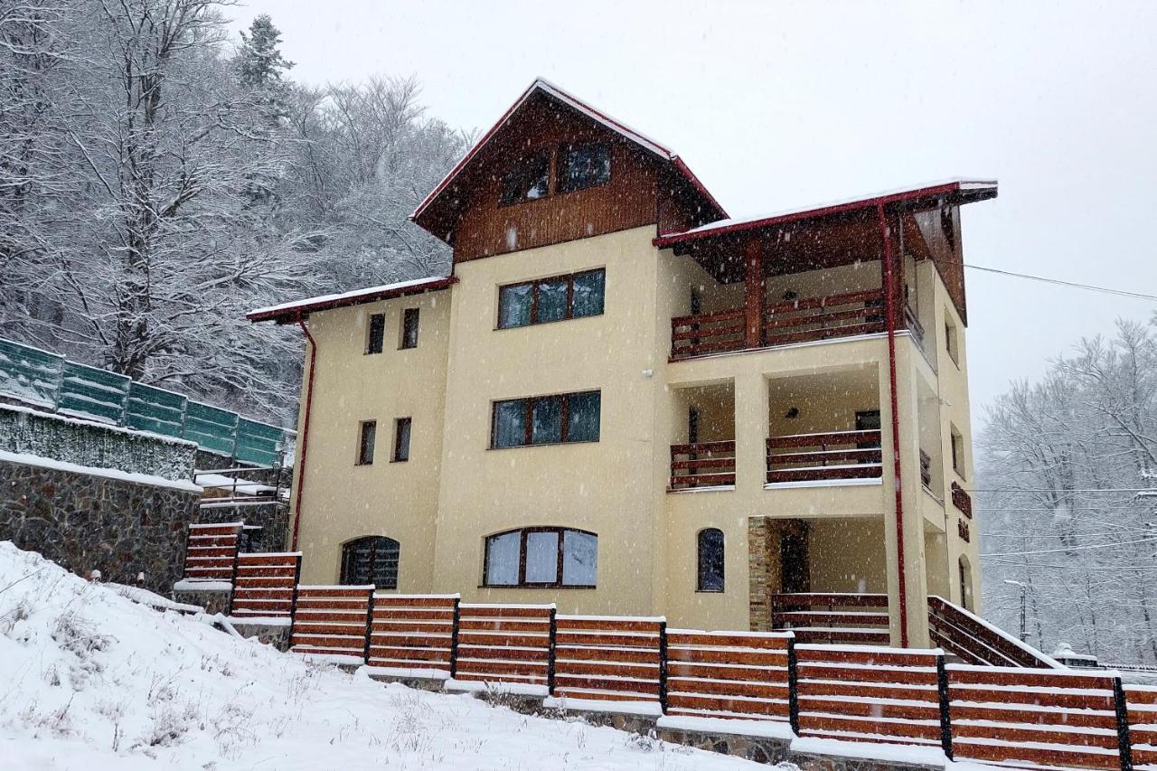 Casa Raisa Buşteni Exterior foto